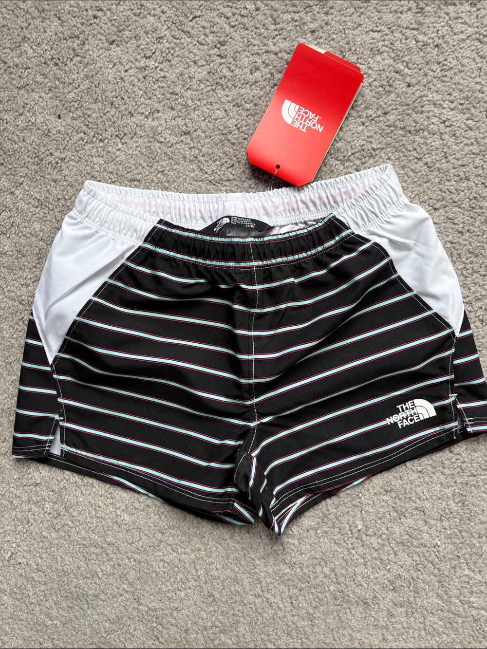 NWT North Face FlashDry Class V water short striped shorts!